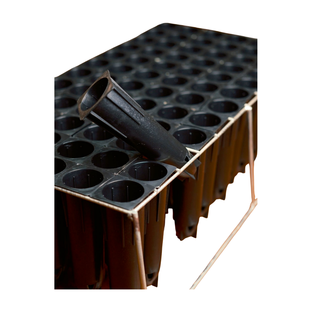 Seedling tray