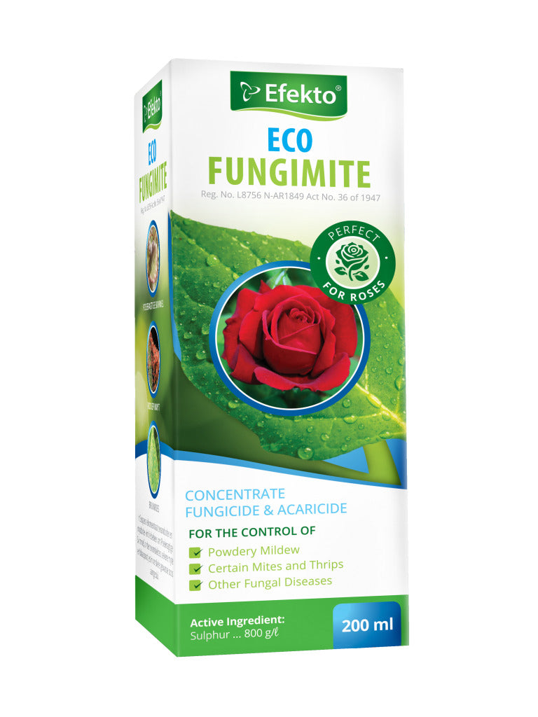 EFEKTO ECO FUNGIMITE 100ML