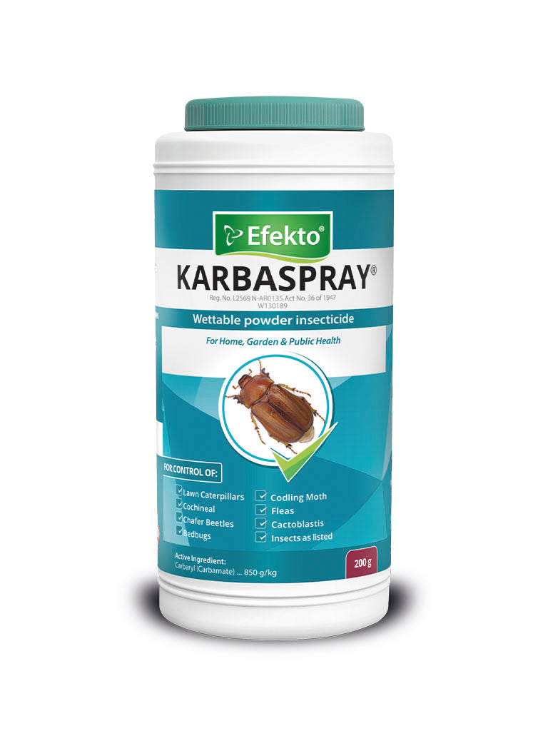 EFEKTO KARBASPRAY 50G