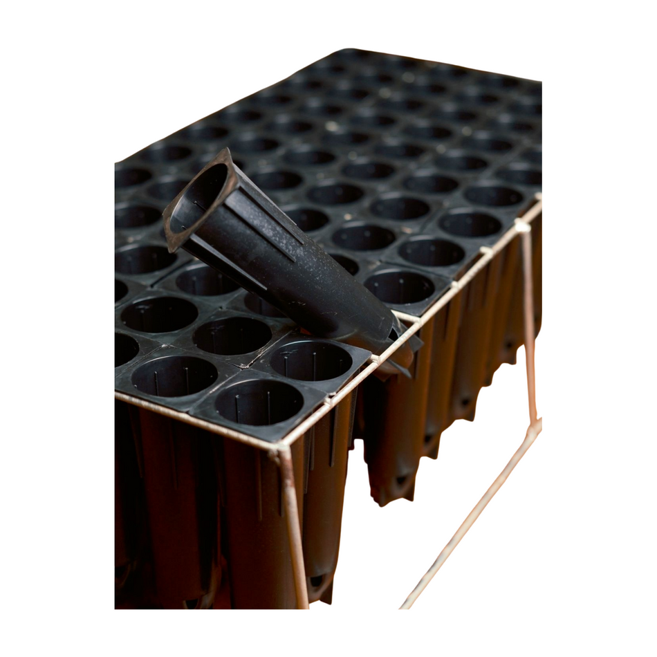 SEEDLING TRAY 72 - 2 UNITS